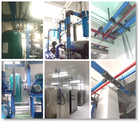 royal皇家88·(中国区) - 官方网站