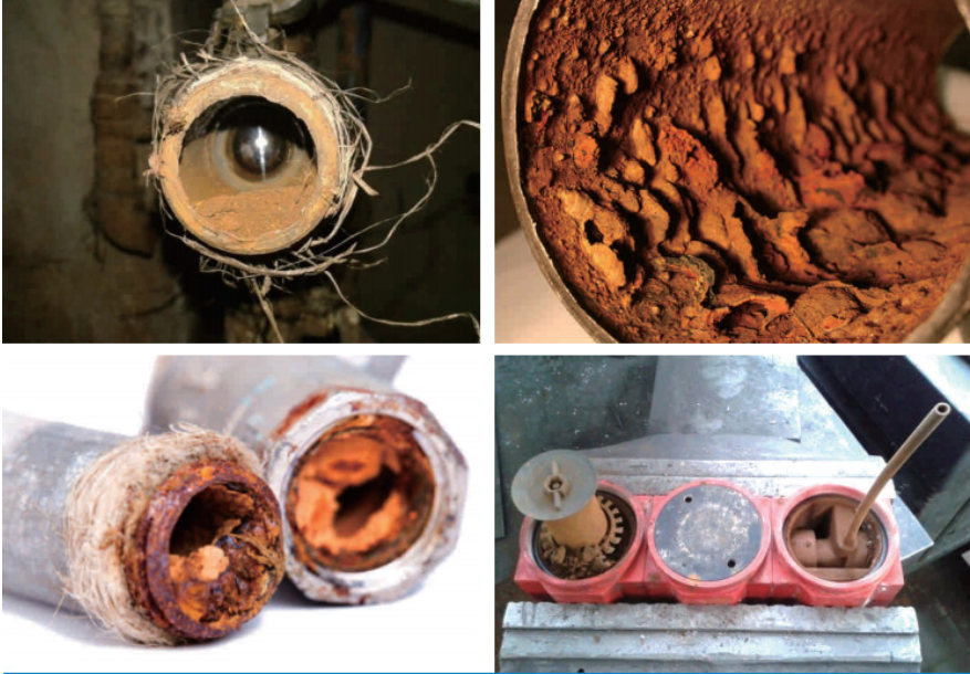 royal皇家88·(中国区) - 官方网站